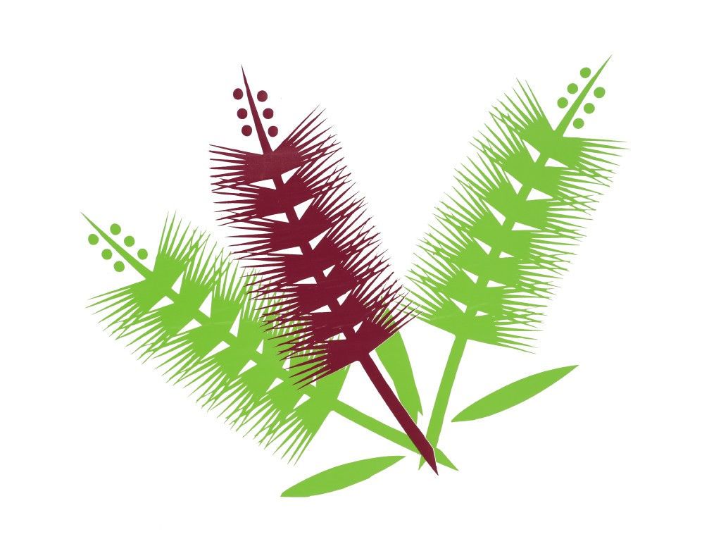 Sunshine Coast Native Landscapes