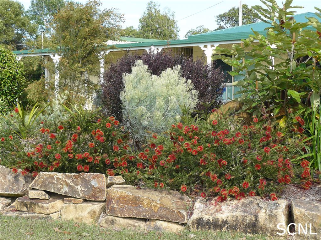Sunshine Coast Native Landscapes